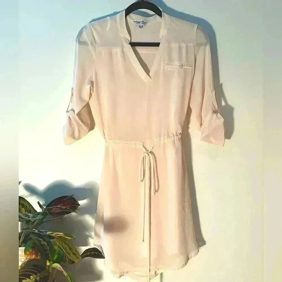 NAKED ZEBRA dress - Picture 1 of 4